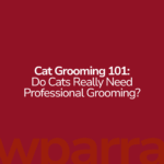 Cat Grooming 101: Do Cats Really Need Professional Grooming?
