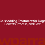 De-shedding Treatment for Dogs: Benefits, Process, and Cost