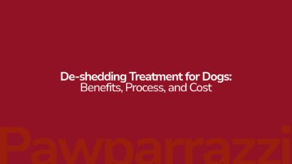 De-shedding Treatment for Dogs Benefits, Process, and Cost