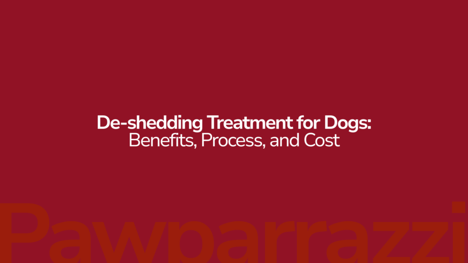 De-shedding Treatment for Dogs Benefits, Process, and Cost