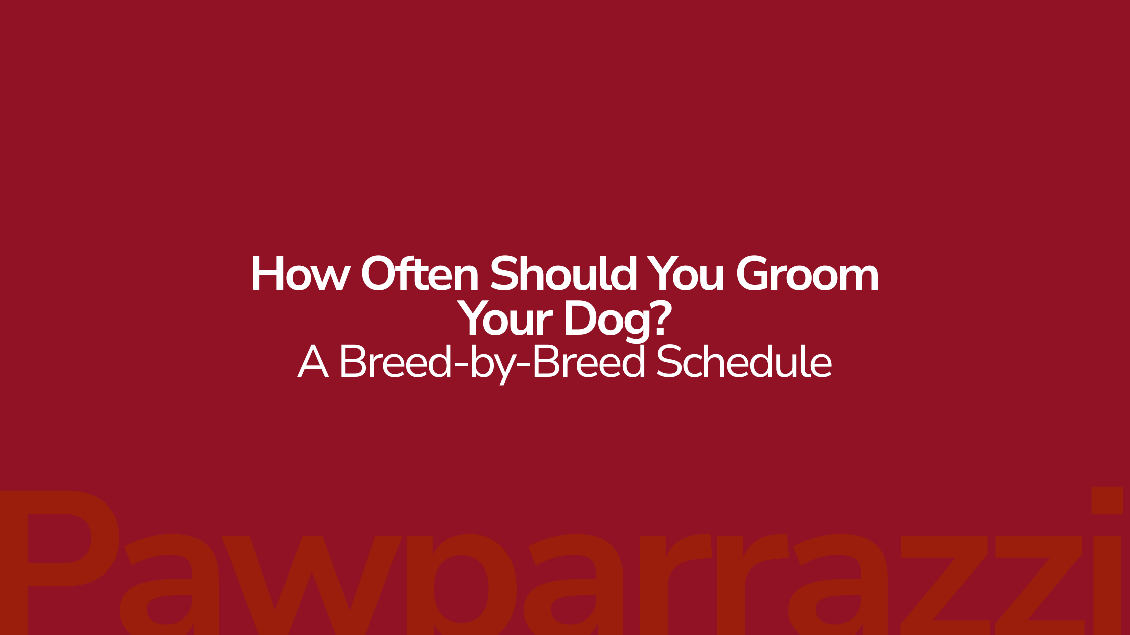 How Often Should You Groom Your Dog A Breed-by-Breed Schedule