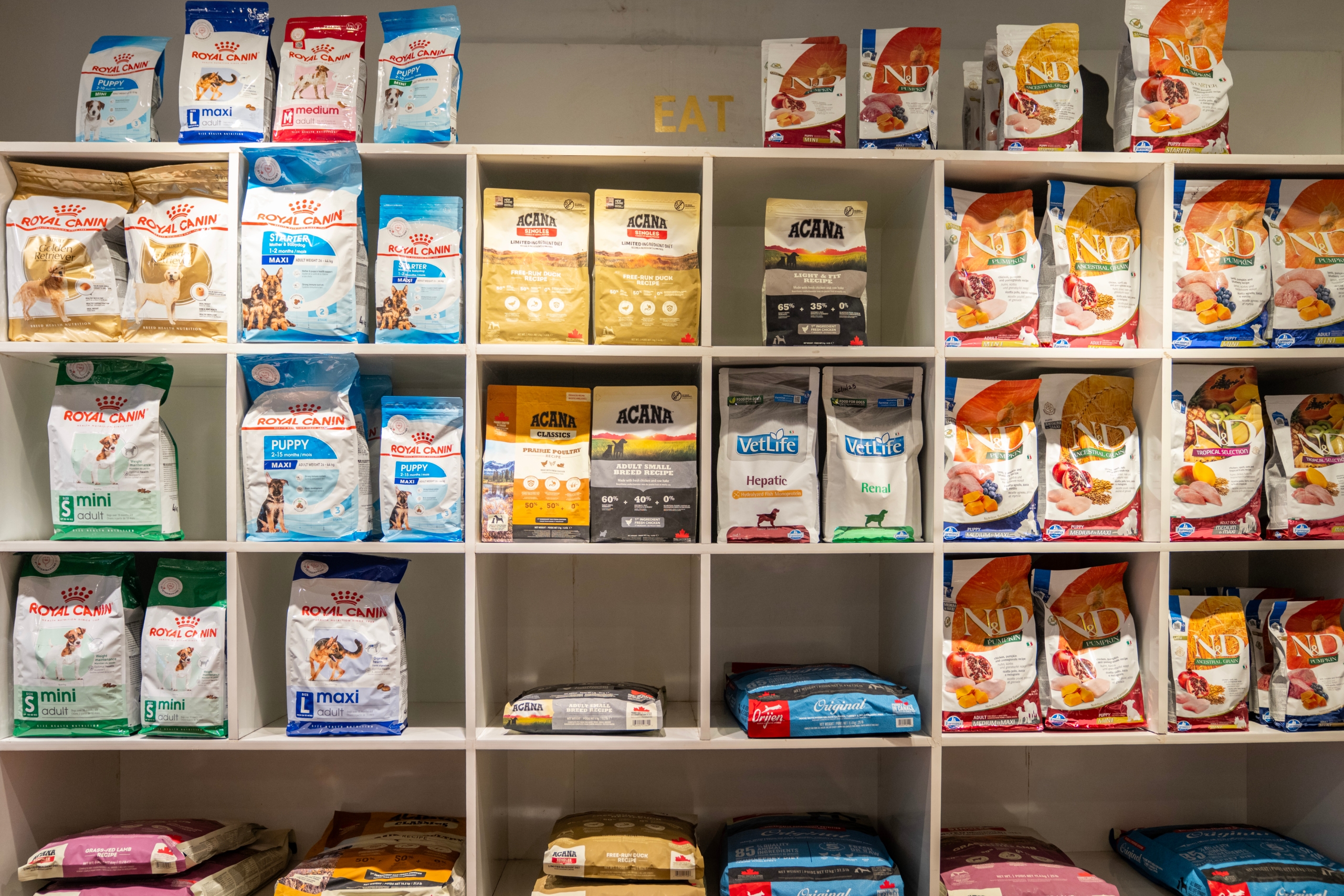 A friendly face helping a pet parent find the perfect treats