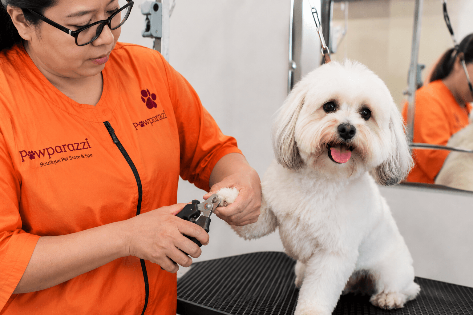 Nail Trimming for Dogs