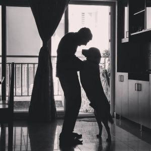 12345999_972924202799810_872844347_n_Original