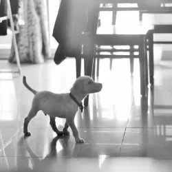 DSC_0163 (5)_Original