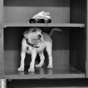 DSC_0213 (2)_Original