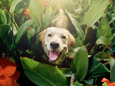 IMG_9365_Original(1)